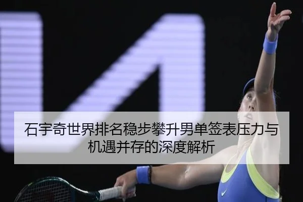 石宇奇世界排名稳步攀升男单签表压力与机遇并存的深度解析